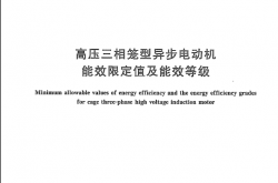 GB 30254-2013 高压三相笼型异步电动机能效限定值及能效等级