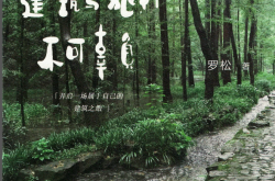 世间唯建筑与旅行不可辜负