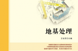 30666~地基处理~王仙芝