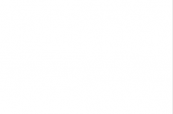 中山市市政道路海绵城市建设技术导则（2023年10月）