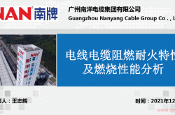 电线电缆阻燃耐火特性及燃烧性能分析（王志辉）