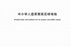 GB/T 43566-2023 中小学人造草面层足球场地