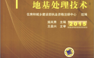 注册结构工程师专业考试专题精讲 地基处理技术 (住房和城乡建设部执业资格注册中心组编；施岚青主编；王昌兴主审)2015