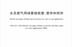 GB∕T 13295-2026 水及燃气用球墨铸铁管、管件和附件
