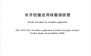 GBT 46199-2025 非开挖铺设用球墨铸铁管
