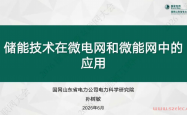 储能技术在微电网和微能网中的应用