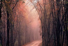 深圳市住房和建设局关于印发《深圳市绿色建筑标识管理办法》的通知2024.2.21