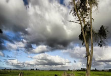 电缆桥架的选择、安装施工要求及规范