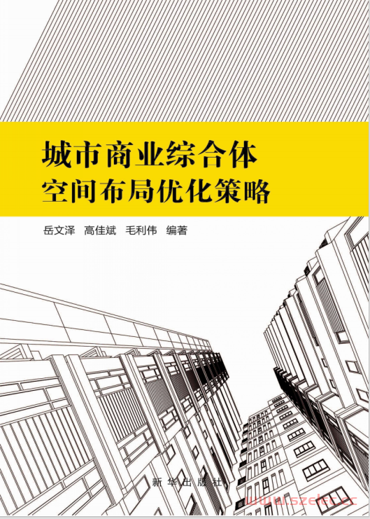 城市商业综合体空间布局优化策略 (岳文泽，高佳斌，毛利伟编著) 第1张